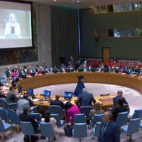 Uživo / Pratite obraćanje Šmita i Cvijanović na sjednici Vijeća sigurnosti UN-a