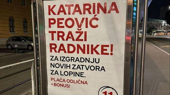 Plakat Katarine Peović - Avaz