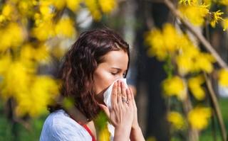 Stiže vrijeme alergija: Evo kako se zaštititi i ublažiti simptome