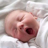 U Kantonalnoj bolnici u "Dr. Safet Mujić" rođena jedna, u Bihaću deset beba