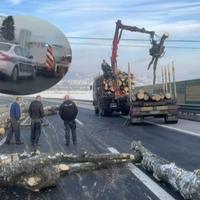 Nesreća na autoputu: Balvani pali s kamiona