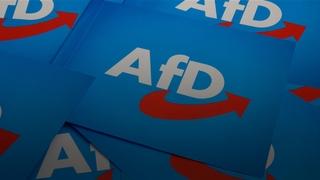 AfD doživio neočekivan poraz na izborima