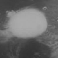 Na današnji dan prije 78 godina bačena je atomska bomba na Hirošimu