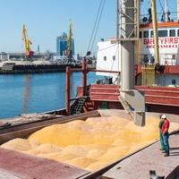 Turska, Rusija, Ukrajina i UN neusaglašeni: Bez dogovora o transportu žitarica