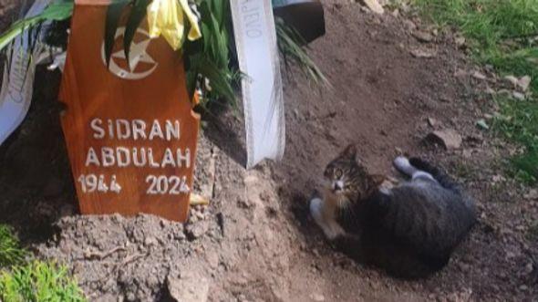 Mačka se ne odvaja od mezara Abdulaha Sidrana - Avaz