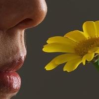 Nauka pokazuje: Evo zašto ljudi gube čulo mirisa
