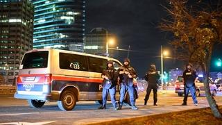 U Austriji uhapšen tinejdžer (16): Planirao napad na sinagogu u Beču?