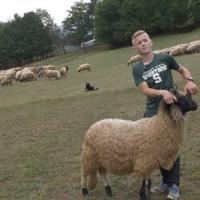 Ahmed iz Viteza: Više volim pogledati dobru ovcu nego da mi daju 100 KM