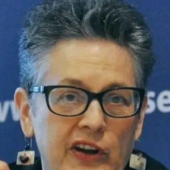 Tanja Domi, profesorica iz SAD: Korištenje bonskih ovlasti visokog predstavnika predstavlja prijetnju suverenitetu BiH