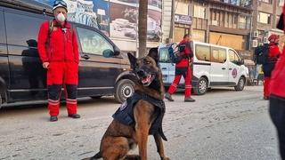I psi iz BiH spašavaju živote, iz FUCZ kažu da su jedni od najboljih u Evropi