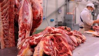 Prema istraživanju "Landgeist Mapa": Građani BiH jedu najmanje mesa