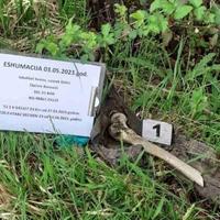 Na području Banovića ekshumirani nekompletni posmrtni ostaci jedne žrtve