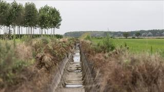 Zabrinjavajuća prognoza za Evropu: Očekuju se žestoke suše u nadolazećem ljetu