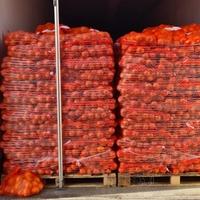 Akcija UIO: Oduzeto 18 tona krijumčarenog krompira