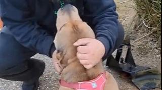 Trenutak kad je stranac pozdravio psa kojeg ljudi inače izbjegavaju slama srca