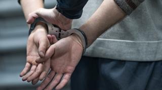 Predložen pritvor za Edina Ćemana osumnjičenog za organizirani kriminal