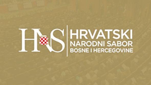 HNS BiH - Avaz