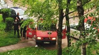 Akcija u sarajevskom naselju Grbavica: Vatrogasci spasili mačku s drveta