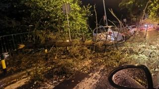 Drvo palo na djevojčicu u Novom Sadu, oluja muškarca oborila s motora