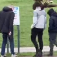 Video / Trojica mladića uništavaju znak u jednom sarajevskom parku
