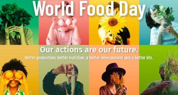 Svjetski dan hrane - Avaz
