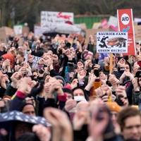 Ogroman broj ljudi na protestima protiv ekstremne desnice u Njemačkoj