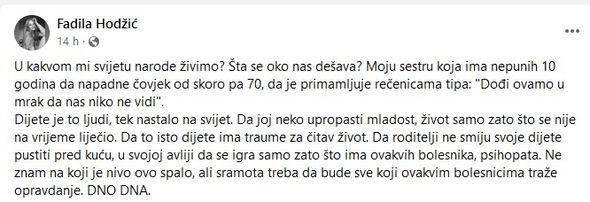 Fadila Hodžić objavila status - Avaz