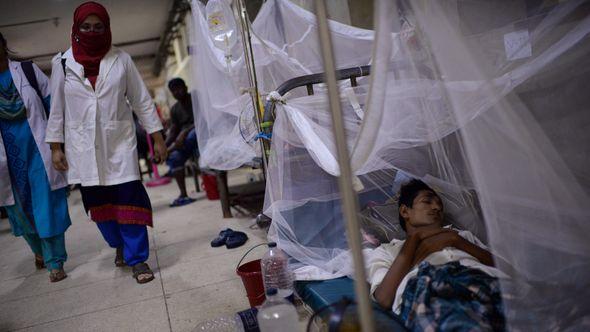 Preko 300 smrtnih slučajeva od denga groznice - Avaz