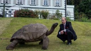 Vojvoda od Edinburga posjetio najstariju životinju na svijetu