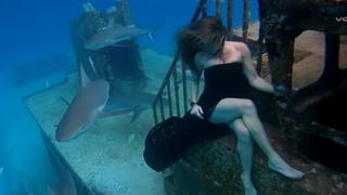 Žena koja prkosi dubinama, ali i ajkulama: Pozira u haljini dok morski predatori oko nje plivaju
