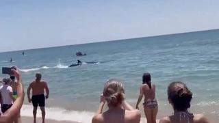 Beach panic: Dramatic moment terrified tourists flee "shark" at Spanish beach 