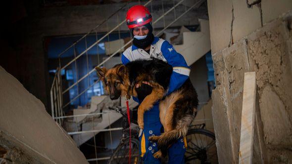 Mehmet Gurkan, a member of the Turkish animal rights group HAYTAP, rescues a dog that was trapped for seven days inside a house affected by the earthquake in Antakya, southeastern Turkey - Avaz