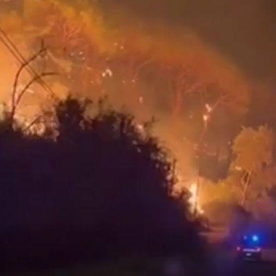 Šumski požari na Siciliji: Dvije osobe poginule, više od 700 turista evakuirano