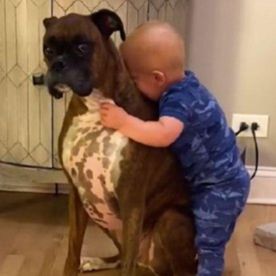 Video / Dječak napravio prve korake samo kako bi zagrlio svog psa