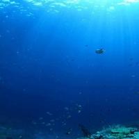 U moru nedaleko od Jadranskog pronađen misteriozni podvodni grad: Stručnjake muči kako je nastao