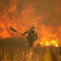 Katastrofalni šumski požari u posljednjih pet godina: Uništenje i izazovi za našu planetu