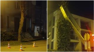Posljedice oluje u Banjoj Luci: Grana pala na ženu u centru grada