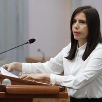 Hrvatska zastupnica Peović:  Politika Izraela zove se apartheid