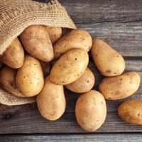 Zabranjen uvoz 23.100 kilograma krompira iz Poljske u BiH