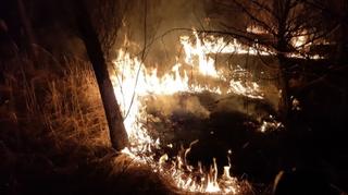 Požar kod Tuzle: Nepristupačan teren otežava posao vatrogascima