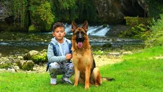 Devetogodišnji Inan Kursumović stigao do evropskih takmičenja: Proglašen najboljim vodičem pasa