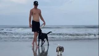 Psić otišao na plažu prvi put, video otapa srca