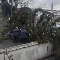 Palo stablo na Ilidži: Zatvoren ulaz sa brze ceste 