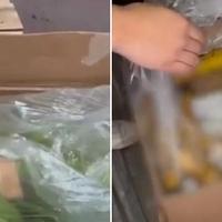 Video / 6,5 tona kokaina pronađeno skriveno između banana u Kolumbiji i Španiji