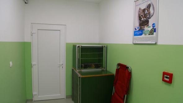 Urgentni centar za hitnu pomoć životinjama - Avaz