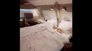 Pogledajte kako izgleda kabina prve klase u ovom avionu: Poput luksuzne hotelske sobe