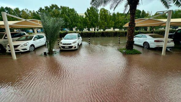 Poplavljeni su mnogi objekti - Avaz