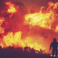 Šumski požar razorio Havaje, najmanje 55 osoba poginulo