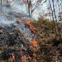 Lokaliziran požar u Podstrani, izgorjela 22 hektra