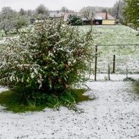 Snijeg pada u Sloveniji, kada će u BiH